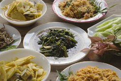 Southern Thailand Accommodation - Village homestay