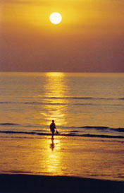 BTN Sunset