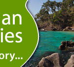 Andaman Discoveries