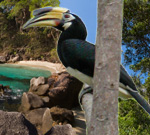 Community-Based Tourism