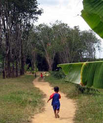 Volunteering Southern Thailand - Teaching English