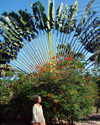 Andaman Thailand Cultural tour
