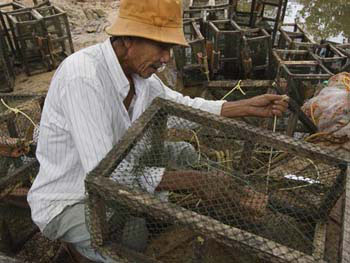 Southern Thailand Image Gallery