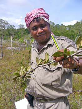 Southern Thailand Image Gallery
