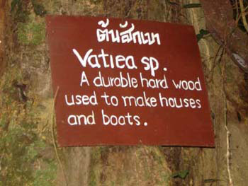 Southern Thailand Image Gallery