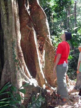 Southern Thailand Image Gallery