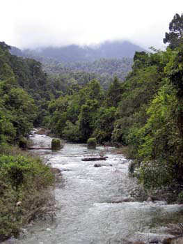 Southern Thailand Image Gallery