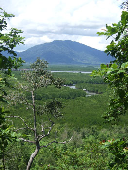 Southern Thailand Image Gallery