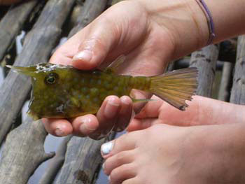 Southern Thailand Image Gallery