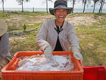 Southern Thailand Image Gallery