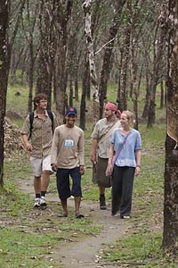 Tung Nang Dam Rubber Plantation Walk