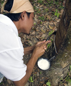 North Andaman communities, Tung Nang Dam Village