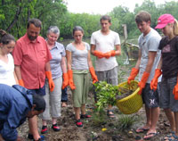 A local guide teaches a family from the UK about community-led conservation during a mangrove restoration activity.