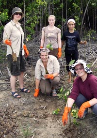 Mangrove Restoration with Go Differently