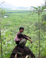 Southern Thailand Andaman tourism - jungle trek