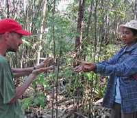 Southern Thailand Andaman tourism - orchid conservation