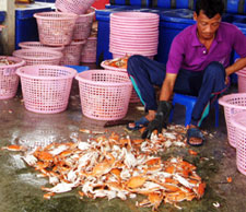 Cultural Activities -- Crab Farm