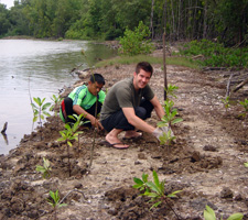 Ecotour Activities - mangrove restoration
