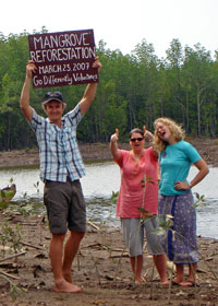 Mangrove Restoration in Ban Talae Nok
