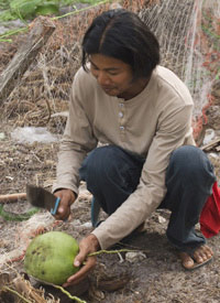 Southern Thailand Andaman tourism - livelihood activities